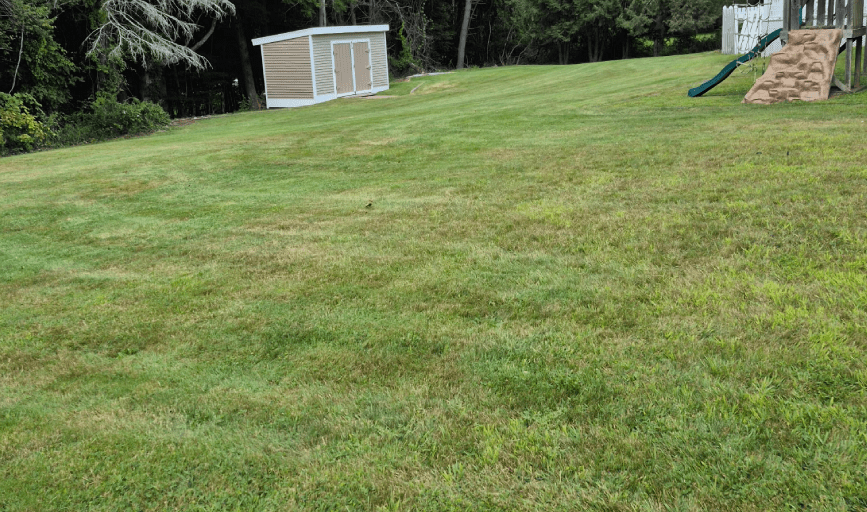 Lawn Maintenance