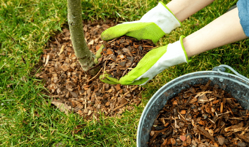 Mulching